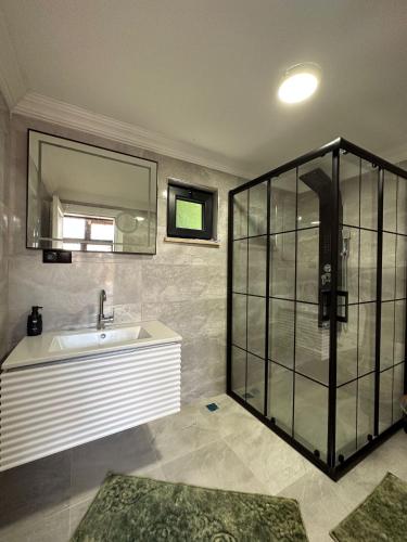 een badkamer met een wastafel en een glazen douche bij Kahraman Bungalow in Sapanca