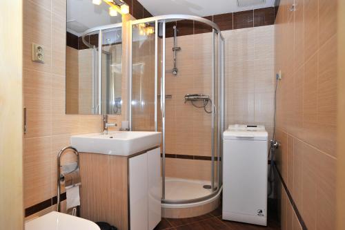 a bathroom with a shower and a sink and a toilet at Apartment near the Old Town Square in Prague