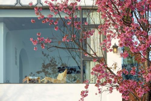 a tree with pink flowers in front of a building at Dali Beauty Seaview B&B in Dali