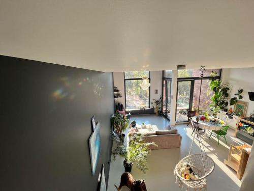 vista sul soffitto di un soggiorno con piante di 3 poziomy Warzelnia a Poznań