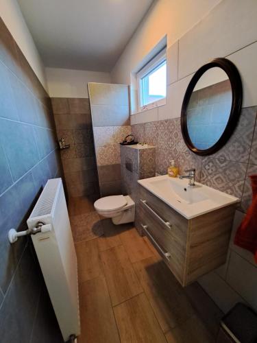 a bathroom with a sink and a toilet and a mirror at DE BLOEMENTUIN / A VIRÁGOSKERT in Tiszafüred