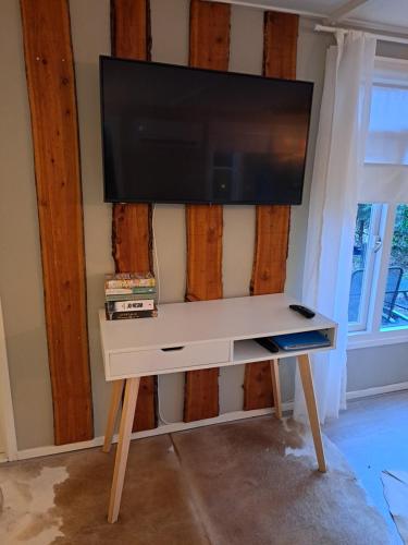 a tv on top of a white table in a room at Knus buitenhuisje aan de Veluwe in Putten