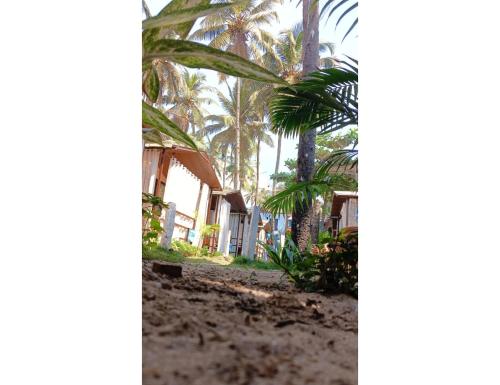 Un jardín fuera de Sea Walk Beach Resort, Palolem, Canacona, Goa