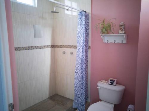 uma casa de banho com um chuveiro e um WC. em New house in historic center, close to amenities. em Zacatecas