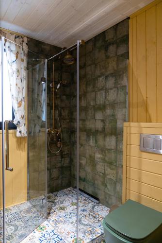a bathroom with a shower with a toilet at Chili Shale in Yablunytsya