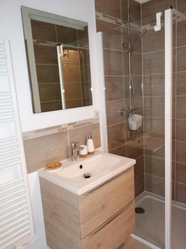 une salle de bain avec un lavabo et une douche dans l'établissement Gîte Le four à pain avec SPA, à Montmelard