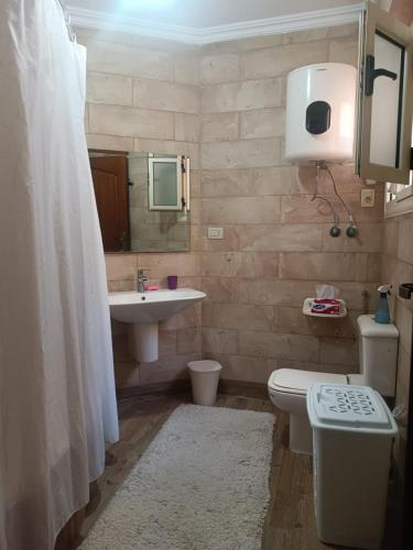 a bathroom with a sink and a toilet and a mirror at Luxury apartment in laurent in Alexandria