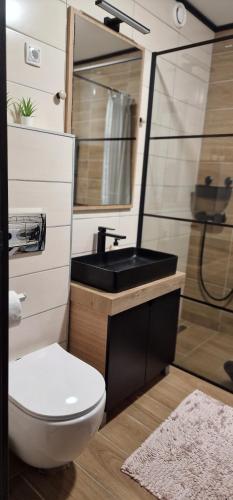 コパオニクにあるTavita Kopaonikのバスルーム(トイレ、洗面台、シャワー付)