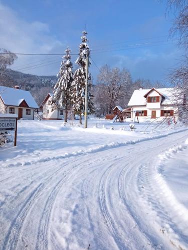 Bieszczadzkie Brzegi