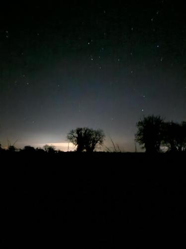 a starry night with trees in a field at The Delkin Shepherds Huts Castle Combe in Castle Combe