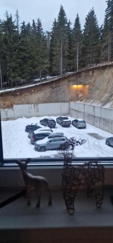 a view of a parking lot with cars in the snow at Tavita Kopaonik in Kopaonik