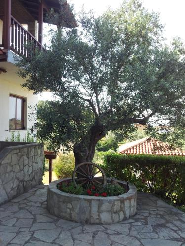 Gallery image of Villa Rena in Vourvourou