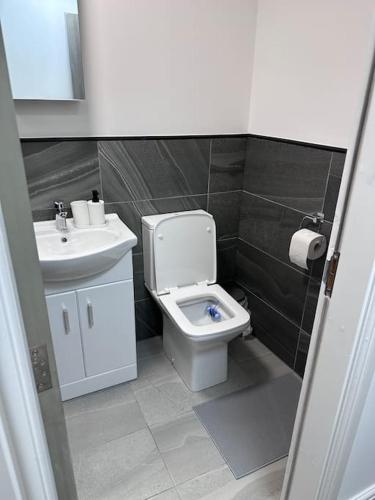 La petite salle de bains est pourvue de toilettes et d'un lavabo. dans l'établissement 2Bed flat In Leicester !, à Leicester