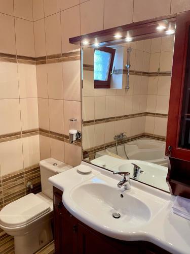 a bathroom with a sink and a toilet and a mirror at Βίτσα Πετρόκτιστο Αρχοντικό "Ιόλη" με θέα Ζαγόρι in Vitsa