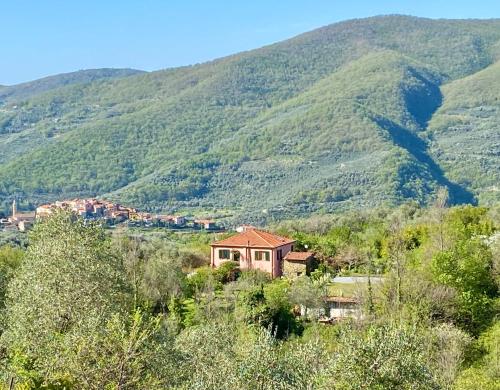 a house in a field with mountains in the background at Borgata Castello in Chiusanico