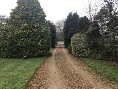 a dirt road with trees on both sides at Highfield in Lissett