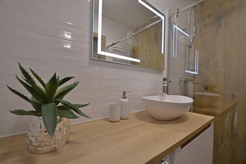 a bathroom with a sink and a plant on a counter at Sun Towers - Apartamenty Bryza - Apartamenty z parkingiem in Świnoujście
