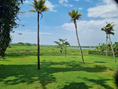 a group of palm trees in a field at Still Waters - A Cottage by the Lake! in Boralesgamuwa