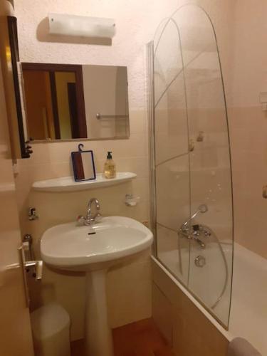 une salle de bain avec un lavabo et une douche en verre dans l'établissement Studio cabine au cœur de la montagne Les Memises, à Thollon-les-Mémises
