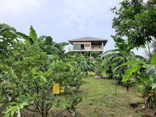 Κήπος έξω από το Niramitsook Farm Stay Khao Yai บ้านไร่นิรามิสสุข ฟาร์มสเตย์ ปากช่อง เขาใหญ่