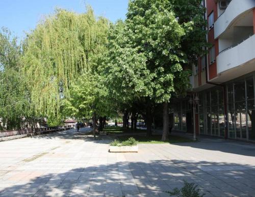 a tree in a courtyard next to a building at River View Nis - 65 square meters Designer Apartment in heart of city Park for free in Niš