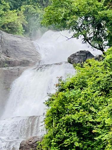 Landskap semula jadi dekat dengan resort