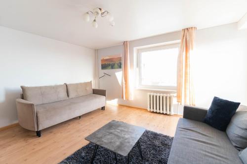 a living room with a couch and a window at Šeškinės 61 Spacious Cozy Apartment in Vilnius