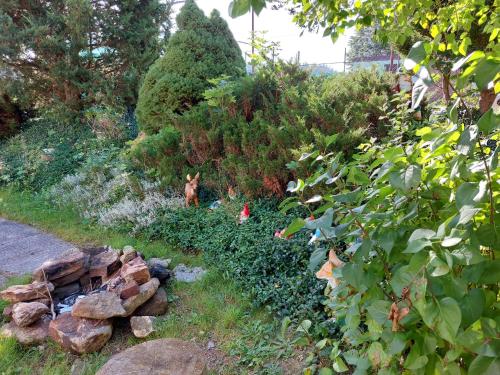 a garden with a dog standing next to a pile of rocks at Rekreační středisko ROJANA in Svratka