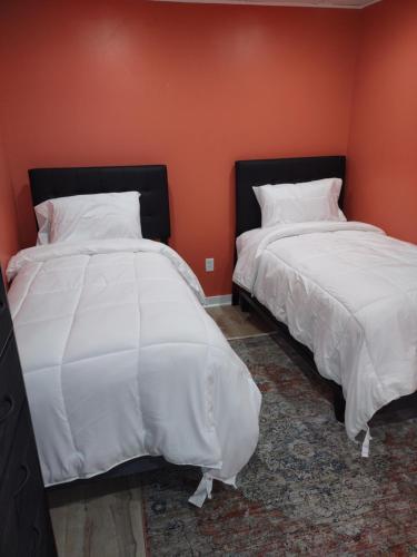 two beds sitting next to each other in a room at Unique Center Of Downtown Elmira in Elmira