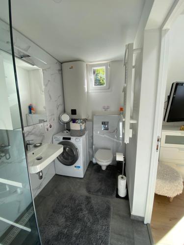 uma pequena casa de banho com WC e lavatório em The Little Oak - tiny house with bed on mezzanine & terrace - from 1 to 4 p Disney JO Paris em Pomponne