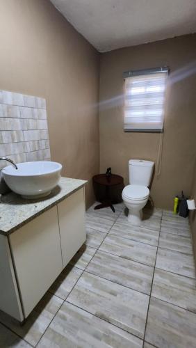 a bathroom with a sink and a toilet at The Signature Venue and Guesthouse in Roodepoort