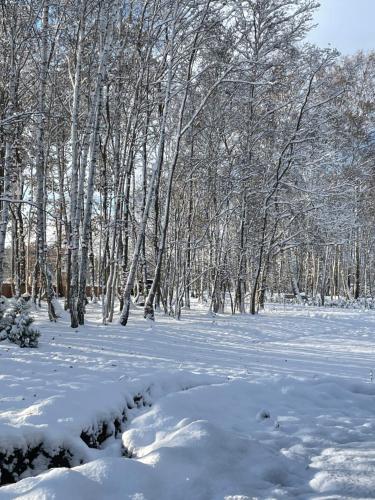 a snow covered field with trees in the background at Norda Resort in Dębki