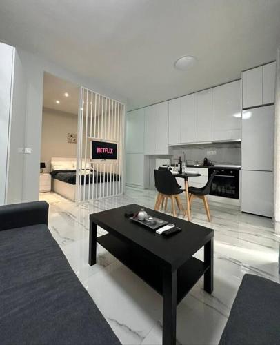 Ellis Oasis Apartment
