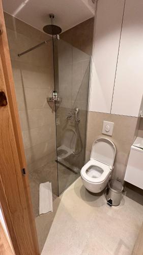 a bathroom with a shower and a toilet at Zlatni Javor 207 Jahorina in Jahorina