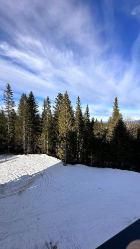 a field covered in snow with trees in the background at Zlatni Javor 207 Jahorina in Jahorina