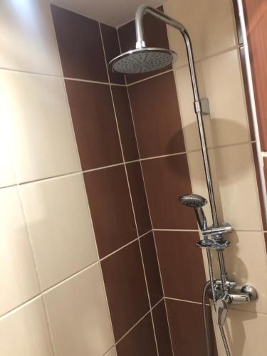 Koupelna v ubytování Privat Nika 246