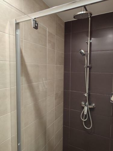 Bilik mandi di Bodzavirág Apartman