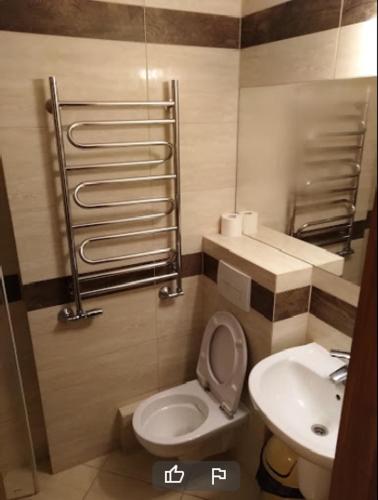 a small bathroom with a toilet and a sink at Hostel Polon in Pułtusk