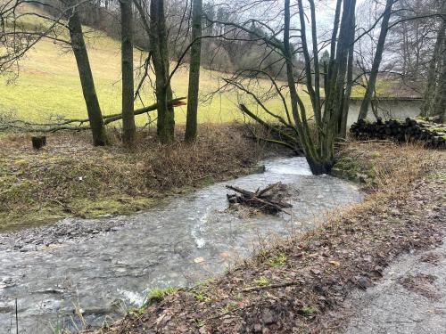 einem Wasserlauf an der Seite einer Straße in der Unterkunft Hausamaarbach in Willingen