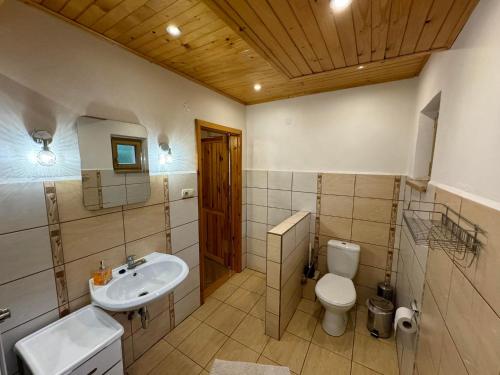 a bathroom with a sink and a toilet and a mirror at U Edyho in Zuberec