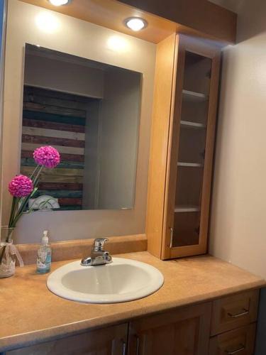 een badkamerbar met een wastafel en een spiegel bij Chalet Pakingan in Cap-Chat