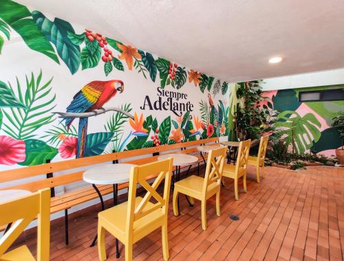 Restoran atau tempat lain untuk makan di Zamia Hostel