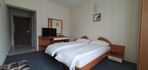 a bedroom with a large bed and a television at Motel Monza in Blagoevgrad