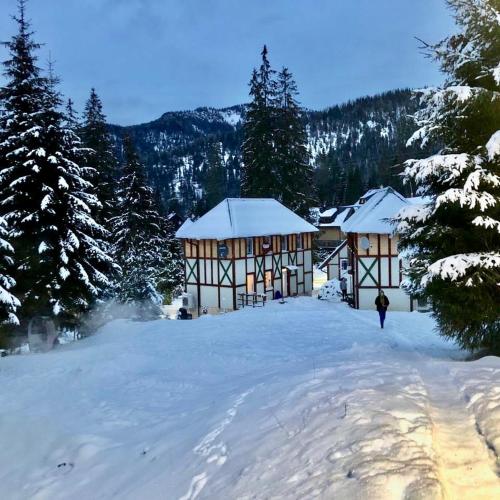 Το Chalet 3 Domky 182 τον χειμώνα