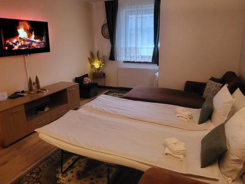 um quarto com uma cama grande e uma televisão na parede em Eko FIS Snowscape 601 em Šišava