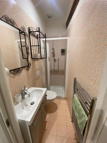 een badkamer met een wastafel, een toilet en een douche bij B&B La Piazzetta della Pioggia in Bologna