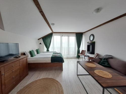 Premium Apartment in Borovets Gardens Complex في بوروفتس: غرفة معيشة كبيرة مع سرير وتلفزيون