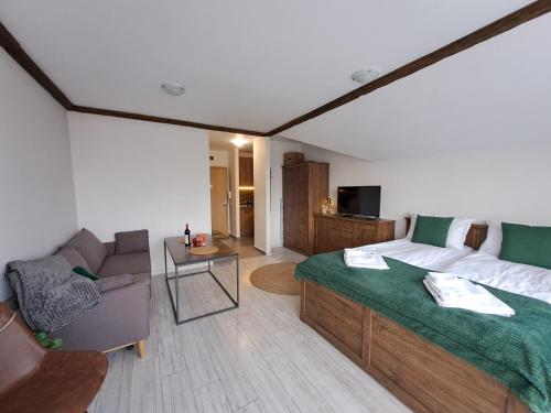 Premium Apartment in Borovets Gardens Complex في بوروفتس: غرفة معيشة مع سرير وأريكة