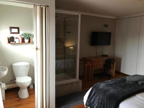 a bedroom with a shower and a toilet and a television at Upstairs at the Miles’ in George