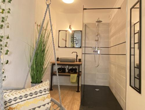 La salle de bains est pourvue d'une douche et d'une balançoire. dans l'établissement L Escapade Lourdaise Balcon Parking Wifi ville, à Lourdes